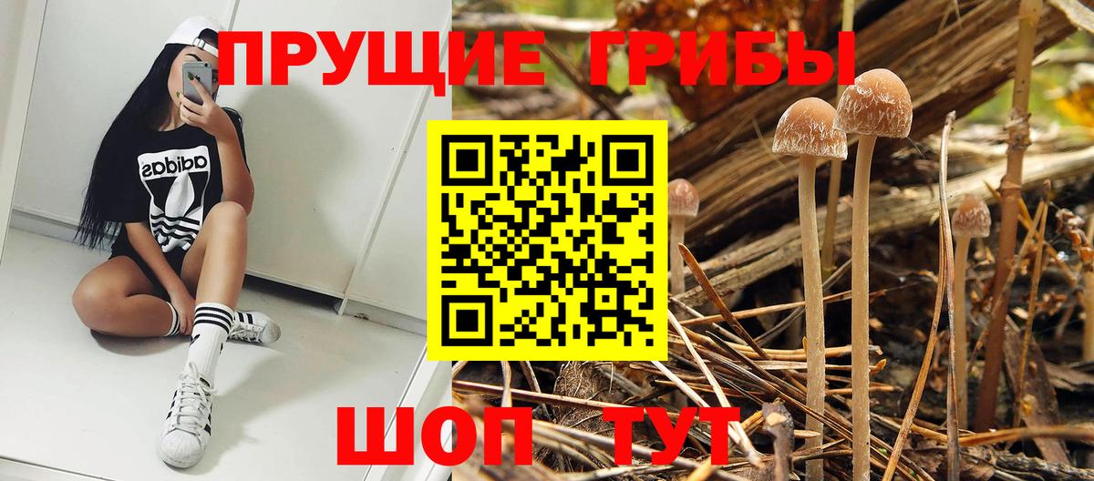 Галлюциногенные грибы Cubensis  Вход с VPN  Галлюциногенные грибы мухоморы  Звенигород 